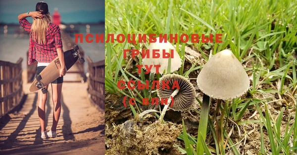 мет Абинск